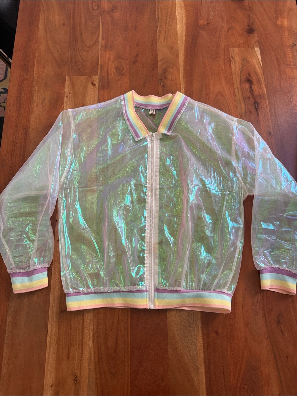 Iridescent Sheer Zip Jacket with Pastel Stripe Trim